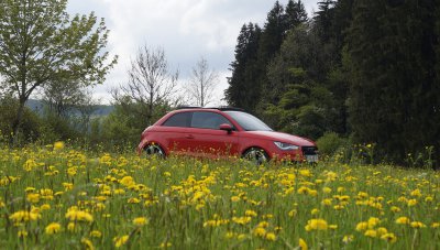 2015-05-09 Audi A1 in der Blumenwiese (7).JPG