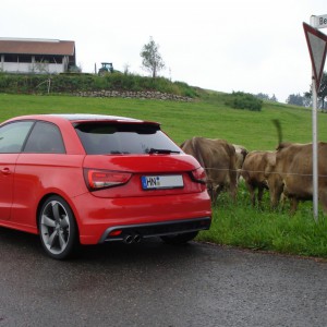 Audi A1 Roter Piranha hinten ohne Ringe